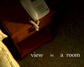 Piper Blouin nude - View in a Room (2010) couples sex scene