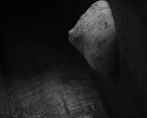 Elina Löwensohn naked, Alexandra Courquet, Clara Guiomar nude - Boro in the Box (2011) noire nude scenes