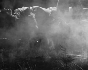 Elina Löwensohn naked, Alexandra Courquet, Clara Guiomar nude - Boro in the Box (2011) noire nude scenes