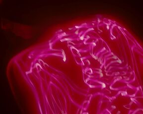 Rebecca Black sexy - Crumbs (2022) Hot Fetish