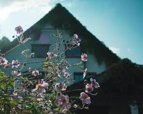 Nina Gummich nude - Theresa Wolff Waidwund (2022)