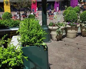 Breasts out switching my tee-shirt on a active Manhattan street!