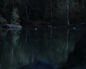 Nudity Scene From Back - Lara Mandoki naked - Erzgebirgskrimi s01e08 (2023)