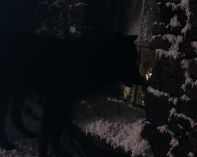 Laetitia Casta - La Jeune fille et les loups (2008) nude scene