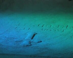 Daniela Doria - The House by the Cemetery (1981) topless scene