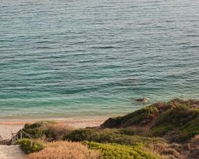 Elena Kampouris sexy - My Big Fat Greek Wedding 3 (2023) hot beach scene