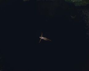 Outdoor Nude & Sex Scene with actress Libby Munro nude - The Hunted (2018)