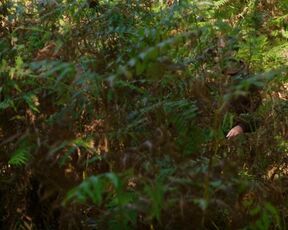 Juliane Elting, Flora Bulcao topless - O Ornitologo (2016)