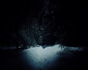 Amandla Stenberg nude, Bobbi Salvör Menuez sexy - My Animal (2023) LESBIAN erotic scenes