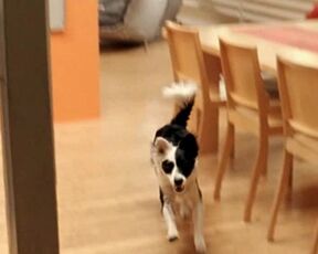 Sabine Marcus naked - Brief eines Unbekannten (2005) classic nudity movie scene