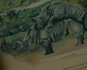 Amalia Kassai hot - A Place Called Dignity (2021) sex scene