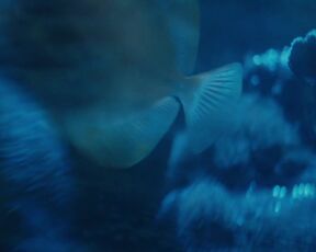 Natalia Jedrus nude - Sortownia s01e06 (2023) lusty orgy TV scene