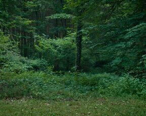 Louise Manteau naked - Wolfkin (2022) Explicit Nude & Sex Scene