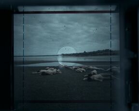 Madeleine Sami, Kate Box, Alicia Gardiner nude - Deadloch s01e01-04 (2023) Lesbian Sex & Explicit Nude Scene