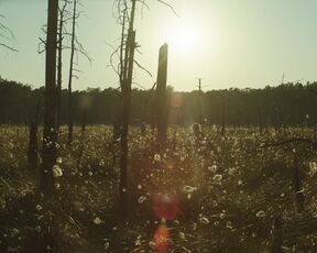 Eleonora Jodkowska naked - The Dawn (2021) full frontal nudity scenes