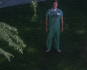 Cheryl Lawson - The Dead Pit (1989) nude actress