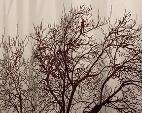 Are these cute globes or not