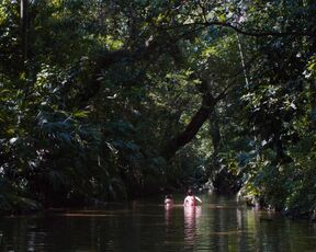 Silvia De Dios, Julieta Laverde sexy - Al lado del río (2020) Hot Shower Scene