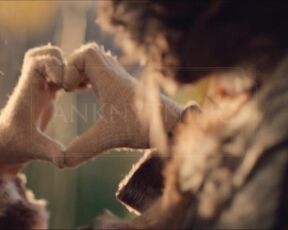 Pia Tjelta, Sarah Dawn Finer Diorama,Sara Shirpey - Diorama (2022) Naked Scene from the movie