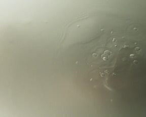 Kseniya Rappoport - The Invisible Boy – Second Generation (2018) Naked Scene