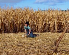 Mia Goth sexy - Pearl (2022)