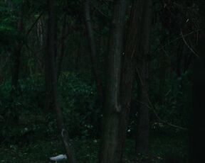 Ioana Bugarin - Miracle (Miracol) (2021) Topless Scene from the movie