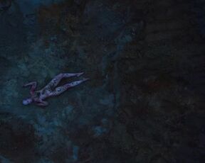 Emilia Schüle, Anne Müller nackte - The Perfumier (2022) hot thriller scene