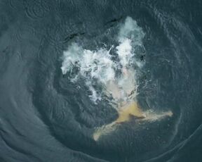 Silke Bodenbender naked - Check out (2022)