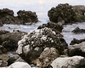 Perfect Boobs Outdoors Video