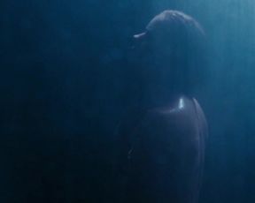 Hot celebs video Amy Adams, Isla Fisher, Ellie Bamber Nude - Nocturnal Creatures (2016) 