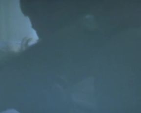 Sexy Susan Sarandon, Catherine Deneuve Nude - The Hunger (1983) 