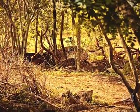 Sexy Marina Nery - Velho Chico s01e05 (BR 2016) 