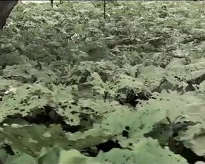 Sexy Marie Tourell Søderberg, Eva Josefikova Nude - 1864 (DK 2014) s1e2-3 