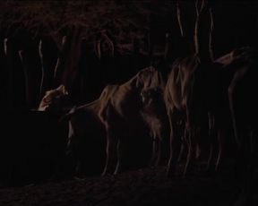 Sexy Maeve Jinkings, Samya de Lavor Nude - Boi Neon (BR 2015) 