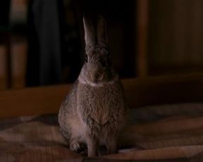 Hot celebs video Julie Gayet Nude - Le lievre de Vatanen (2006) 