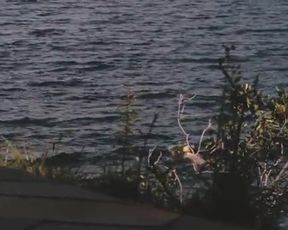 Hot actress Elizabeth Olsen Nude - Martha Marcy May Marlene (2011) 