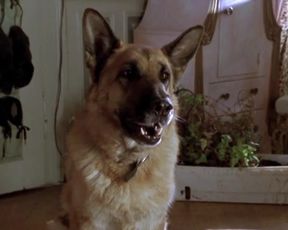 Sexy Ann Kathrin Kramer Nude - Allein unter Mannern (2001) 