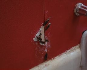 Hot celebs video Ana Asensio, Ana Asensio Nude - Most Beautiful Island (US 2017) 