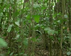 Sexy Lorenza Izzo nude - The Green Inferno (2013) 