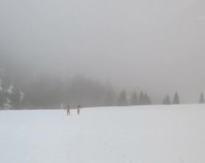 Sandra Huller & Hilde Van Mieghem - Der Architekt (2008)