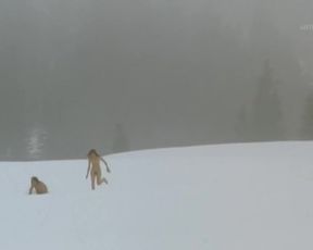 Sandra Huller & Hilde Van Mieghem - Der Architekt (2008)