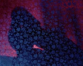 Kathleen Turner and Janice Renney Crimes of Passion (1984)