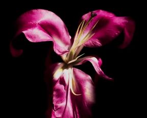 Barbara Lopez, etc -Señorita 89 s01e06 (2022) Lesvbian TV Show