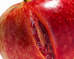 Christine Hughes, Jackie Moore, Nadia Adem - Seal of Desire (2022) Topless Scene