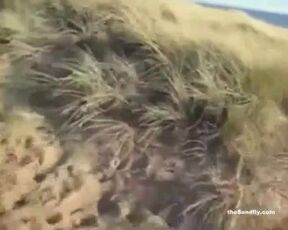 Sexy couples are having hot group sex on the beach, while a horny voyeur is watching