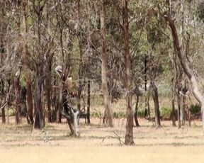 My naked neighbor in nature shows her pussy and tits. Does she look like a girl from your neighborhood