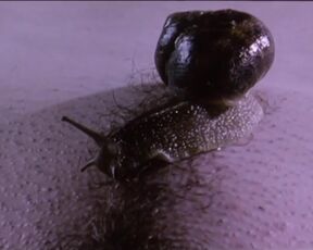 Anna Gorynsztejn nude - Belle de nature (2009) Full Frontal