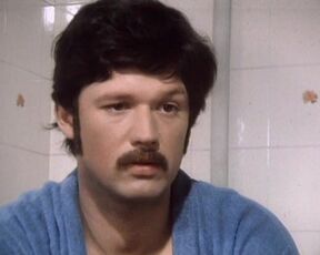 Michaela May naked. Der falsche Pass fur Tibo (1979) erotic classic scene