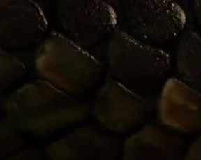 Karnpitchar Ketmanee, Arpa Pawilai - The Snake (2015)