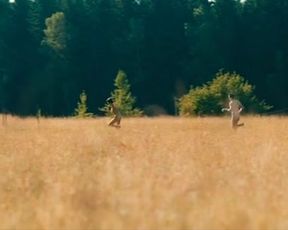 Naked scenes Julia Koschitz - Jonathan (2016)